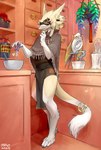 anthro barefoot bottomwear clothing cooking detailed_background digitigrade eyewear feet goggles inside loincloth male poncho solo standing tail mayo-san sergal 2023 hi_res