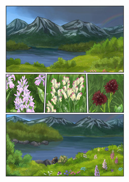 blue_sky clothed clothed_feral clothing cloud cloudy_sky day droplets feathers feral flower grass male mountain plant rainbow sky solo water bjekkergauken avian bird owl 2026 colored comic hi_res