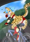 anthro bicycle camel_toe cheetah clothing cycling felid feline female footwear fur hair hi_res looking_at_viewer mammal mountain_bike open_mouth outside smile solo tail tight_clothing vehicle wolflong