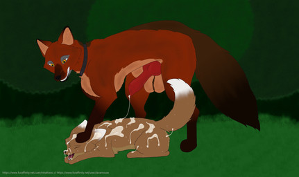 animal_genitalia animal_penis balls big_balls big_knot big_penis bodily_fluids brown_body brown_fur canine_genitalia canine_penis cum cum_covered cum_drip cum_in_mouth cum_inside cum_on_body cum_on_face dipstick_ears dipstick_tail dripping duo ear_markings ejaculation erection eyes_closed feral feral_on_feral fur genital_fluids genitals grin happy knot knotted_penis looking_pleasured lying male male/male markings messy multicolored_ears nature outside penis pinned red_body red_fur scar smile spots tail tail_markings text yellow_eyes ninafoxxo red_(ninafoxxo) sam_(lavamouse) canid canine fennec_fox fox mammal red_fox true_fox absurd_res hi_res url