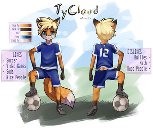 :3 5_fingers anthro ball biped blue_eyes clothed clothing fingers footwear front_view fur hair looking_at_viewer male multicolored_body multicolored_fur rear_view shoes smile soccer_ball solo text aogami tycloud canid canine fox mammal 2012 english_text model_sheet