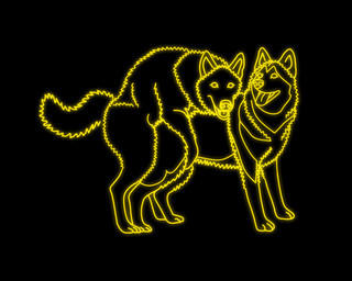 all_fours black_background butt digitigrade doggystyle duo female female_penetrated feral feral_on_feral from_behind_position fur intraspecies male male/female male_penetrating male_penetrating_female mounting neon nude penetration penile penile_penetration penis_in_vagina quadruped sex simple_background tongue tongue_out vaginal vaginal_penetration wolfland arctic_wolf canid canine canis domestic_dog husky mammal nordic_sled_dog siberian_husky spitz wolf 2016 black_and_yellow digital_media_(artwork) hi_res monochrome