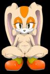 anthro areola big_ears big_eyes breasts clitoris clothed clothing crouching female fur genitals gloves handwear long_ears looking_at_viewer mostly_nude navel nipples nude pink_nipples presenting presenting_pussy pussy simple_background solo spread_legs spreading transparent_background young young_anthro jenokamui sega sonic_the_hedgehog_(series) cream_the_rabbit lagomorph leporid mammal rabbit 2014 alpha_channel hi_res