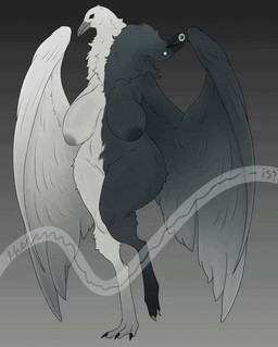 2_heads anthro areola beak big_breasts black_body breasts feathers female fur genitals multi_head nude simple_background solo thick_thighs vulva white_body wings khemmmis avian bird absurd_res hi_res
