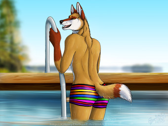 anthro black_nose bottomwear brown_body brown_fur butt clothed clothing fangs fluffy fluffy_tail fur gloves_(marking) ladder looking_at_viewer looking_back male markings open_mouth pattern_bottomwear pattern_clothing poolside rainbow rear_view solo striped_bottomwear striped_clothing stripes swimming_pool swimming_trunks swimwear tail teeth tongue topless underwear water wet yellow_eyes glowingraver hailstorm canid canine canis coyote mammal 2013
