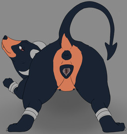 animal_genitalia animal_vulva anus canine_genitalia canine_vulva female feral genitals looking_at_viewer looking_back presenting presenting_anus presenting_vulva raised_tail solo tail vulva tiny_terrible nintendo pokemon generation_2_pokemon houndoom pokemon_(species)