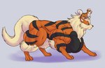 4_toes ambiguous_gender big_muscles big_pecs black_body black_countershading black_markings countershading duo feet feral fur huge_muscles huge_pecs hyper hyper_muscles hyper_pecs markings muscular orange_body orange_fur pecs side_view size_difference standing standing_on_another toes sonicgamer nintendo pokemon arcanine generation_1_pokemon growlithe pokemon_(species) 2019