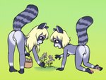 all_fours anthro bent_over blonde_hair butt duo female flat_chested flower genitals hair nude plant purple_eyes pussy rear_view young young_anthro vermelhatan sadie_(lowtec) sophie_(lowtec) mammal procyonid raccoon 4:3