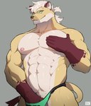 5_fingers abs anthro barazoku biceps biped bottomwear clothing eyewear fingers fur glasses green_clothing green_eyes green_underwear grey_background hair hand_in_underwear hand_on_chest hand_on_crotch looking_at_viewer male muscular muscular_anthro muscular_male navel nipples pec_grab pecs red_body red_fur simple_background smile smiling_at_viewer solo speedo swimwear tail underwear white_body white_fur white_hair yellow_body yellow_fur dendryte_axxon mammal mustelid musteline stoat true_musteline weasel 2023 absurd_res digital_drawing_(artwork) digital_media_(artwork) hi_res watermark