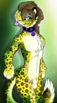 animal_genitalia anthro balls biped collar fangs fur genitals green_eyes hair male navel nude penis penis_tip sheath simple_background smile solo standing teeth tongue tongue_out gard3r yellow_(character) felid leopard mammal pantherine 2015