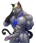 anthro balls big_pecs erection eyewear fur genitals glasses grey_body grey_fur hair male muscular muscular_anthro muscular_male necktie nipples pecs penis simple_background solo tail sea_pupper animal_crossing nintendo raymond_(animal_crossing) domestic_cat felid feline felis humanoid mammal 5:6 hi_res