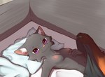 anthro bed bedding black_body black_fur blanket blush claws female first_person_view fur furniture looking_at_viewer nipples nude pawpads pillow purple_eyes shy slim smile smiling_at_viewer solo_focus whiskers cdt2s snowflake_(cdt2s) canid canine domestic_cat felid feline felis fox mammal