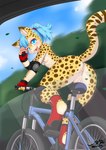 anthro bicycle breasts casual_nudity cheetah clothing cycling felid feline female footwear fur genitals hair hi_res looking_at_viewer mammal mostly_nude mountain_bike nipples open_mouth outside public public_nudity pussy small_breasts smile solo tail vehicle wolflong