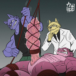 anthro bdsm bodily_fluids bondage bound clenched_teeth clothing coat cock_and_ball_torture genital_torture genitals group lab_coat male male/male pain penis pull_out restrained restraints rope rope_bondage shirt smile stretched_penis sweat tank_top teeth topwear trio vein veiny_penis yokunaiplay mythology purple_(yokunaiplay) canid canine canis domestic_dog dragon mammal mythological_creature mythological_scalie scalie wolf 1:1 hi_res