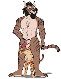 animal_genitalia animal_penis anthro balls barazoku brown_body casual_nudity duo feline_genitalia feline_penis genitals hand_on_penis looking_at_balls looking_at_genitalia male male/male nipples nude penis plantigrade sheath simple_background size_difference standing striped_body stripes these_aren't_my_glasses under_balls white_background caprisunn microsoft the_elder_scrolls sinvirr-ra zahkar-jo felid khajiit mammal hi_res