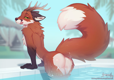 anthro antlers bedroom_eyes big_tail biped brown_body brown_fur butt butt_heart countershade_butt countershading day detailed_background dipstick_tail fluffy fluffy_tail fur gloves_(marking) horn licking licking_lips looking_at_viewer looking_back looking_back_at_viewer male male_anthro markings multicolored_body multicolored_fur narrowed_eyes nude nude_anthro nude_male outside palm_tree partially_submerged plant pose rear_view seductive solo swimming_pool tail tail_markings tasteful_nudity text three-quarter_view tongue tongue_out tree water wet white_body white_fur white_text danomil patreon kauna canid canine fox mammal red_fox true_fox 2025 artist_name dated digital_drawing_(artwork) digital_media_(artwork) pinup portrait three-quarter_portrait url