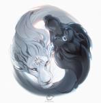 black_body black_fur blue_eyes duo fur hair simple_background white_background white_body white_fur white_hair yellow_eyes alectorfencer felid feline mammal 2020 digital_media_(artwork)