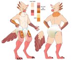 ageplay anthro beak bodily_fluids clothed clothing color_swatch diaper front_view genital_fluids infantilism looking_at_viewer male open_mouth orange_body orange_pupils pupils rear_view roleplay simple_background solo standing tan_body topless unclean_diaper urine used_diaper wearing_diaper wet_diaper white_background yellow_eyes hardscales avian absurd_res hi_res model_sheet
