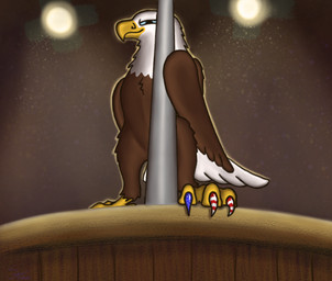 ambiguous_gender blue_eyes brown_body brown_feathers colored_nails feathers feet feral low-angle_view multicolored_body nails pole_between_legs solo stage stage_lights tail_fan talons toes two_tone_body white_body white_feathers sner accipitrid accipitriform avian bald_eagle bird eagle sea_eagle shaded female_(lore)