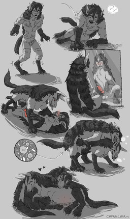 3_toes animal_genitalia animal_penis balls belly blush bodily_fluids canine_genitalia canine_penis claws duo erection feet female feral feral_on_feral feral_penetrated feral_penetrating feral_penetrating_feral from_behind_position fur genital_fluids genitals hands_to_paws human_to_feral impregnation looking_at_mirror looking_at_object lying male male/female mirror on_back ovum penetration penis pokemon_transformation precum pregnant pregnant_female quadruped red_eyes sex species_transformation sperm_cell tail toes tongue tongue_out transformation transformation_sequence caprascharm nintendo pokemon generation_3_pokemon human mammal mightyena pokemon_(species) absurd_res hi_res signature