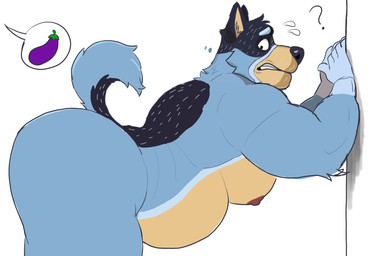 5_fingers against_surface against_wall anthro arched_back barazoku belly big_butt big_muscles big_pecs black_nose blue_body blue_fur butt cheek_tuft facial_tuft fingers fur looking_back male mature_anthro mature_male musclegut muscular nipples pecs question_mark side_view simple_background solo tail tuft white_background tippytaps3d bluey_(series) bandit_heeler australian_cattle_dog canid canine canis cattledog domestic_dog herding_dog mammal pastoral_dog 2025 absurd_res english_description hi_res