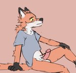 anthro bottomless clothed clothing fur genitals glans humanoid_genitalia humanoid_penis male nude orange_body orange_fur penis shirt shirt_only solo t-shirt t-shirt_only topwear topwear_only yellow_eyes shov_16 roofi canid canine fox mammal hi_res