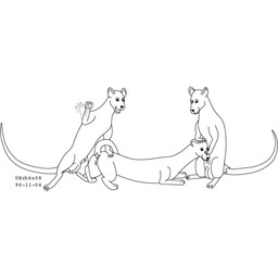 animal_genitalia balls fellatio female feral fur genitals gesture group group_sex hand_on_another's_head imminent_sex interspecies male male/female oral penile sex sheath simple_background smile spitroast tail threesome trio waving waving_at_viewer white_background urbanhermit mammal murid murine mustelid musteline rat rodent true_musteline weasel 1996 1:1 black_and_white dated monochrome