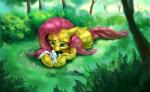 detailed_background duo feathered_wings feathers female feral fur green_eyes hair lying nature outside pink_hair wings yellow_body yellow_feathers yellow_fur ruffu friendship_is_magic hasbro my_little_pony mythology angel_(mlp) fluttershy_(mlp) equid equine lagomorph leporid mammal mythological_creature mythological_equine pegasus rabbit 2012 hi_res