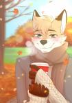 anthro beverage coffee fur hair looking_at_viewer male outside scarf smile solo teeth miiyori canid canine fox mammal hi_res