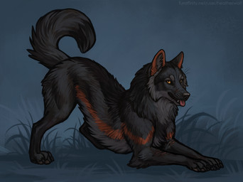 ambiguous_feral ambiguous_gender black_body black_fur black_tail cheek_tuft dipstick_tail facial_tuft feral fur grass grey_body grey_fur grey_tail leg_tuft looking_at_viewer markings neck_tuft orange_eyes outside plant red_tongue scar semi-realistic side_view solo tail tail_markings tongue tongue_out tuft heatherwolf kael_(beleynn) canid canine canis mammal wolf detailed hi_res
