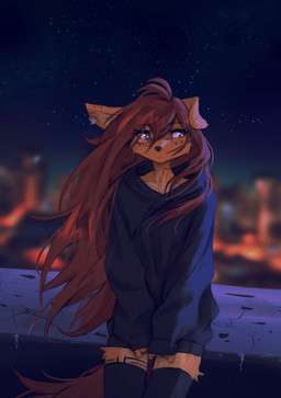 anthro biped breasts brown_eyes brown_hair brown_tail clothed clothed_anthro clothed_female clothing countershade_torso countershading ear_piercing female fingers front_view fur hair hoodie inner_ear_fluff leg_tattoo long_hair looking_aside neck_tattoo night outside piercing sky solo star tail tan_body tan_fur tattoo thigh_tattoo topwear tuft tinygaypirate apogee_(tinygaypirate) canid canine canis domestic_dog mammal 2026 absurd_res digital_drawing_(artwork) digital_media_(artwork) hi_res