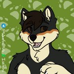 anthro male solo werefox_(artist) canid canine canis domestic_dog mammal shiba_inu spitz