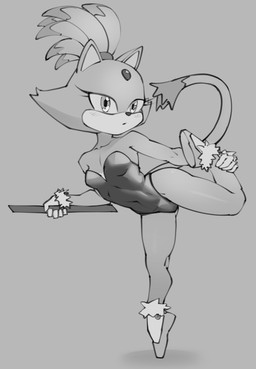 anthro ballerina ballet bent_leg breasts clothing collarbone female flexible footwear forehead_gem gem gloves hair handwear holding_own_leg leotard on_one_leg ponytail pose raised_leg shoes slippers socks solo standing tail tiptoes frebtto sega sonic_the_hedgehog_(series) blaze_the_cat domestic_cat felid feline felis mammal hi_res monochrome