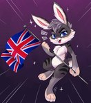 anthro black_body black_fur black_stripes blue_eyes british female fur grey_body grey_fur grey_hair hair solo stripes union_jack white_body white_fur wizaria crystal_(mvw) lagomorph leporid mammal rabbit hi_res