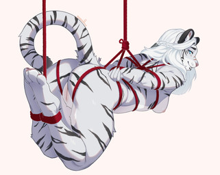 anthro bdsm black_stripes blue_eyes bondage bound braided_hair female fur hair looking_at_viewer nipples pawpads piercing pink_nose restrained restraints rope rope_bondage rope_harness scar solo striped_body striped_fur stripes white_hair gwenithra microsoft the_elder_scrolls katria_(perky) felid khajiit mammal absurd_res hi_res