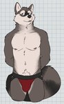 anthro belly biped black_body black_fur black_markings black_nose body_hair brown_eyes bulge checkered checkered_background clothed clothing eyebrows eyeshadow facial_markings fluffy fluffy_tail fur fur_markings grey_body grey_fur hands_behind_back happy_trail head_markings inner_ear_fluff jockstrap jockstrap_only makeup male male_anthro markings multicolored_body multicolored_clothing multicolored_underwear navel neck_tuft nipples partially_clothed partially_clothed_male pattern_background pink_nipples red_clothing red_jockstrap red_underwear simple_background slightly_chubby solo standing striped_markings striped_tail stripes tail tail_markings tan_body tan_eyebrows tan_fur tan_inner_ear_fluff topless tuft underwear underwear_only whiskers white_background white_sclera unsafescapewolf echo_(game) echo_(series) echo_project kudzu_tengwan mammal procyonid raccoon 2024 digital_drawing_(artwork) digital_media_(artwork) hi_res portrait three-quarter_portrait