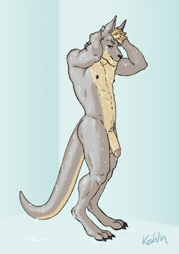 anthro areola balls bodily_fluids casual_nudity feet fingers flaccid fur genitals glans hair hand_behind_head humanoid_genitalia humanoid_penis looking_at_viewer male narrowed_eyes nipples nude penis shower simple_background solo standing tail toes water wet wet_body kahlu kangaroo macropod mammal marsupial digital_media_(artwork)