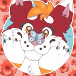 anthro female flower plant poppy_(flower) smile solo spring_(season) naoto arthropod butterfly canid canine canis domestic_dog husky insect lepidopteran mammal nordic_sled_dog spitz absurd_res hi_res icon