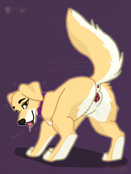 animal_genitalia animal_vulva anus bedroom_eyes begging bodily_fluids canine_genitalia canine_vulva collar coordinates countershading drooling female feral fur genital_fluids genitals heart_symbol looking_at_viewer narrowed_eyes presenting presenting_anus presenting_vulva purple_collar quote rear_view saliva seductive simple_background solo standing symbol tan_body tan_fur teasing teasing_viewer text tongue vulva white_body white_countershading yellow_body yellow_fur 39^02'08.1"n95^06'27.4"w bird_dog canid canine canis domestic_dog golden_retriever hunting_dog mammal retriever