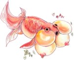 areola breasts busty_feral female feral fin nipples non-mammal_breasts solo tail tail_fin yukikingyoo bubble_eye_goldfish cyprinid cypriniform fish goldfish marine hi_res