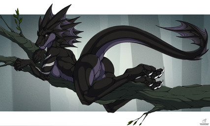 5_fingers anthro anus biped black_body breasts butt claws female fingers genitals grey_eyes in_tree lying nude on_front plant presenting presenting_hindquarters raised_tail smile solo tail text toe_claws tree vulva white_claws feathered_diva mythology iryna dragon mythological_creature mythological_scalie scalie 2023 5:3 colored english_text hi_res signature