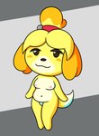 anthro breasts charming female genitals hair_elastic nipples nude pussy simple_background solo tail forcekin animal_crossing nintendo isabelle_(animal_crossing) canid canine canis domestic_dog mammal shih_tzu toy_dog hi_res