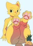 4_toes anthro biped black_outline blush butt claws confusion feet female finger_claws food foot_focus fruit fur hindpaw legs_up looking_at_viewer nude outline pawpads paws pineapple pink_nose pink_pawpads plant presenting_pawpads question_mark simple_background slight_smile slightly_chubby smile smiling_at_viewer soles solo thick_thighs toes white_background yellow_body yellow_eyes yellow_fur toonarscontent microsoft prequel_adventure the_elder_scrolls katia_managan domestic_cat felid feline felis khajiit mammal absurd_res digital_media_(artwork) full-length_portrait hi_res portrait