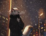 5_fingers anthro black_nose blue_eyes breasts detailed_background eyebrows eyelashes female fingers hair night outside smile snow snowing solo street_lamp white_hair koul tasha_lisets canid canine fox mammal 2020 digital_media_(artwork)