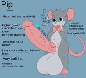 anthro balls big_balls big_penis blush genitals huge_balls huge_penis hyper hyper_balls hyper_genitalia hyper_penis male penis small_but_hung solo text truly_fates_(artist) pip_(trulyfates) mammal mouse murid murine rodent hi_res model_sheet