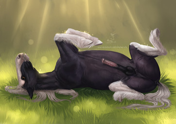 anatomically_correct anatomically_correct_genitalia anatomically_correct_penis animal_genitalia animal_penis balls black_balls black_body black_fur black_penis butt day dock_(anatomy) equine_genitalia equine_penis erection feathering feral fetlocks fluffy fur genitals glade grass hooves light looking_at_viewer lying male mane mottled mottled_genitalia mottled_penis multicolored_penis on_back orange_eyes outside penis pink_penis plant presenting presenting_penis quadruped realistic_feral solo spread_legs spreading summer sun sunlight tail teeth text underhoof unguligrade white_body white_fur white_mane almatea hidalgo_(fursona) draft_horse equid equine horse mammal shire 2020 digital_media_(artwork) digital_painting_(artwork) hi_res painting_(artwork) shaded signature url