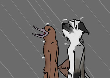 annoyed anthro grey_background happy raining simple_background standing shisimk domestic_cat felid feline felis mammal monotreme platypus hi_res