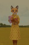 anthro blue_eyes clothing dress female field fur grass orange_body orange_fur plant solo gamgyuls fantastic_mr._fox mrs._felicity_fox canid canine fox mammal red_fox true_fox 2022 absurd_res hi_res