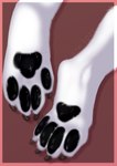 ambiguous_gender anthro black_pawpads claws digitigrade fur pawpads paws solo toe_claws white_body white_fur zhekathewolf 2021 hi_res signature sketch