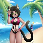 anthro ball beach bikini breasts clothed clothing detailed_background duo female hair outside sand sky smile swimwear tail two-piece_swimsuit water dark_moon moira_(casitoarroyo) domestic_cat felid feline felis humanoid mammal 1:1 absurd_res digital_media_(artwork) hi_res